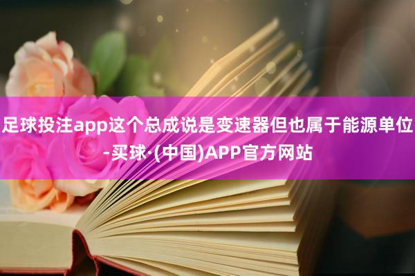 足球投注app这个总成说是变速器但也属于能源单位-买球·(中国)APP官方网站