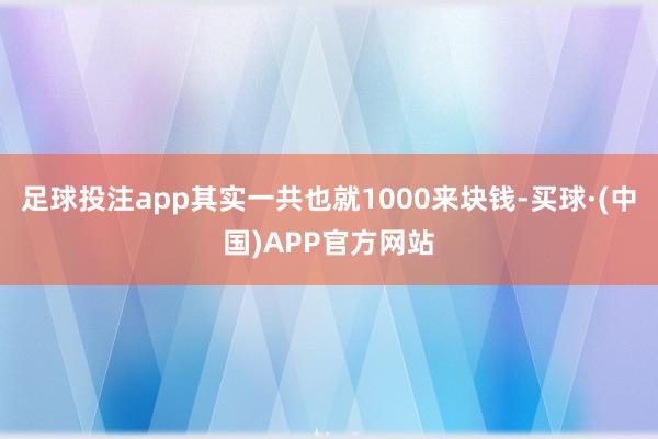 足球投注app其实一共也就1000来块钱-买球·(中国)APP官方网站