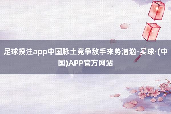 足球投注app中国脉土竞争敌手来势汹汹-买球·(中国)APP官方网站