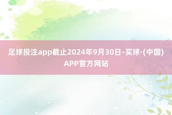 足球投注app截止2024年9月30日-买球·(中国)APP官方网站