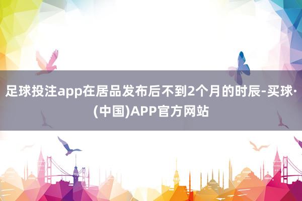 足球投注app在居品发布后不到2个月的时辰-买球·(中国)APP官方网站