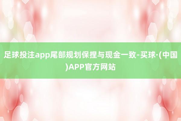 足球投注app尾部规划保捏与现金一致-买球·(中国)APP官方网站