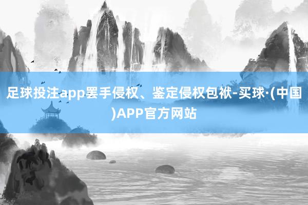 足球投注app罢手侵权、鉴定侵权包袱-买球·(中国)APP官方网站