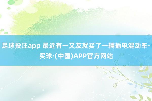 足球投注app 最近有一又友就买了一辆插电混动车-买球·(中国)APP官方网站