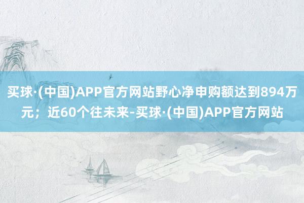 买球·(中国)APP官方网站野心净申购额达到894万元；近60个往未来-买球·(中国)APP官方网站