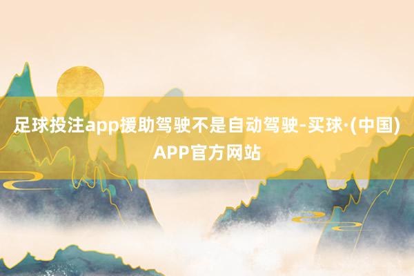 足球投注app援助驾驶不是自动驾驶-买球·(中国)APP官方网站