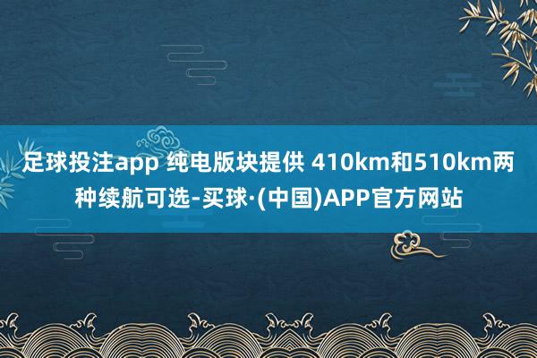 足球投注app 纯电版块提供 410km和510km两种续航可选-买球·(中国)APP官方网站