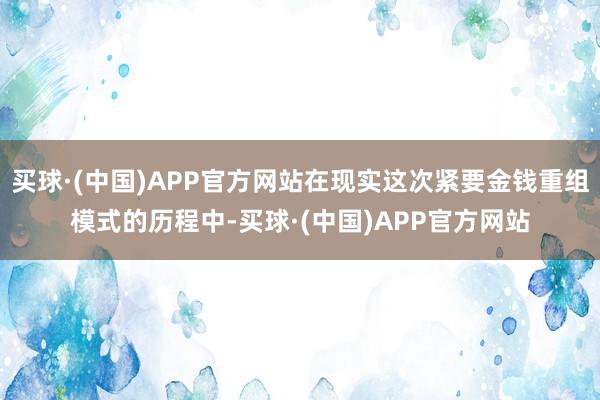 买球·(中国)APP官方网站在现实这次紧要金钱重组模式的历程中-买球·(中国)APP官方网站