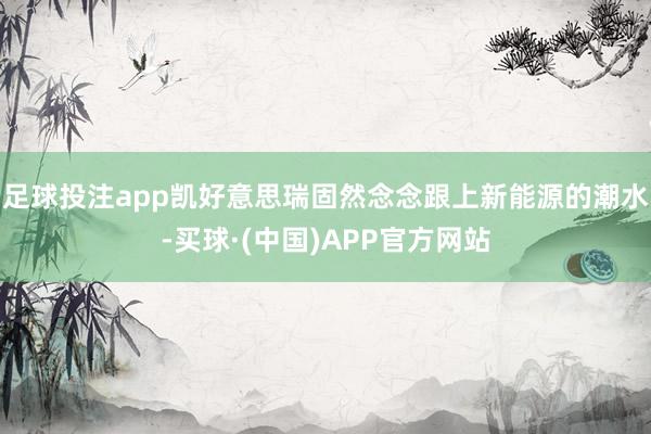 足球投注app凯好意思瑞固然念念跟上新能源的潮水-买球·(中国)APP官方网站