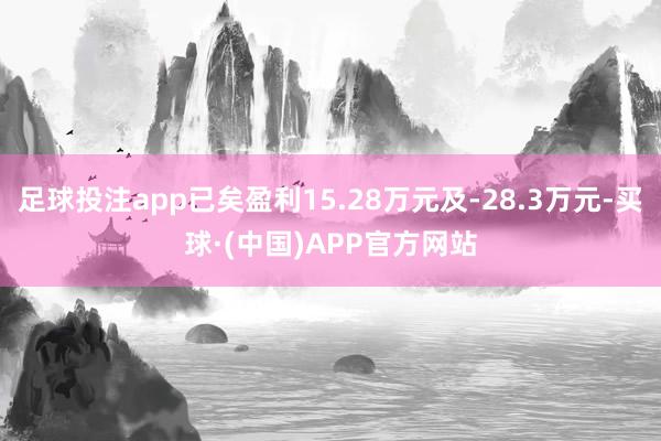 足球投注app已矣盈利15.28万元及-28.3万元-买球·(中国)APP官方网站