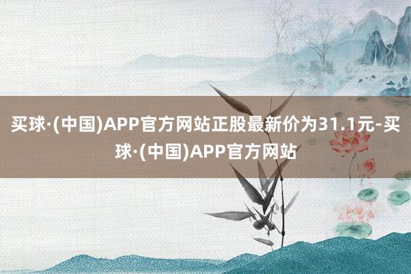 买球·(中国)APP官方网站正股最新价为31.1元-买球·(中国)APP官方网站