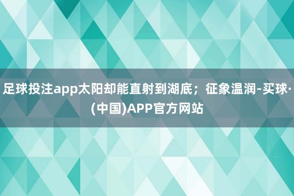 足球投注app太阳却能直射到湖底；征象温润-买球·(中国)APP官方网站