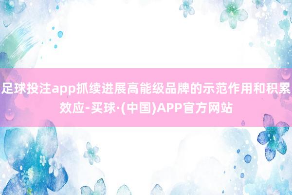 足球投注app抓续进展高能级品牌的示范作用和积累效应-买球·(中国)APP官方网站