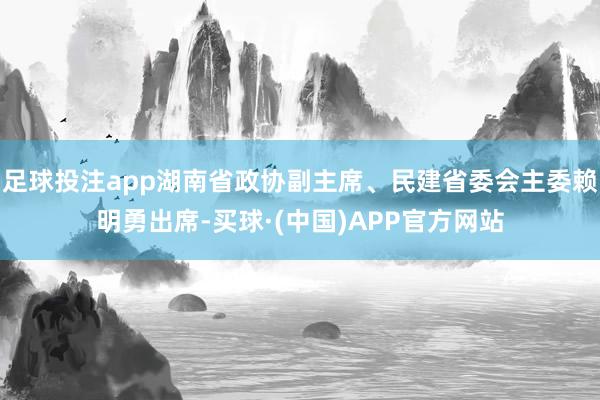 足球投注app湖南省政协副主席、民建省委会主委赖明勇出席-买球·(中国)APP官方网站