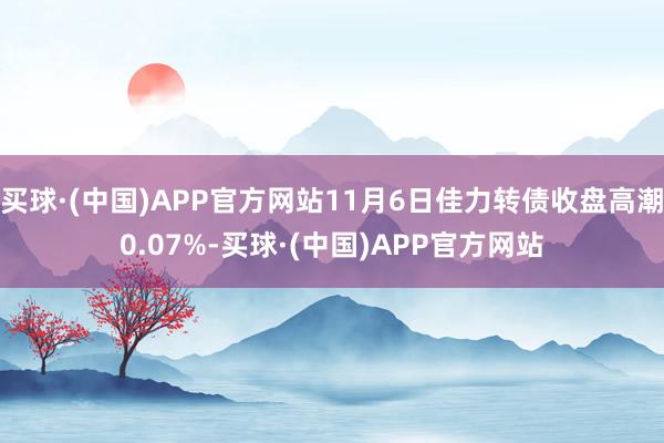 买球·(中国)APP官方网站11月6日佳力转债收盘高潮0.07%-买球·(中国)APP官方网站