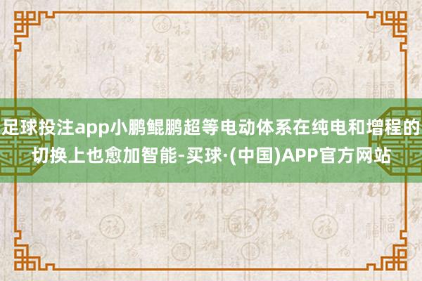 足球投注app小鹏鲲鹏超等电动体系在纯电和增程的切换上也愈加智能-买球·(中国)APP官方网站