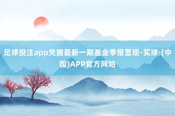 足球投注app凭据最新一期基金季报显现-买球·(中国)APP官方网站