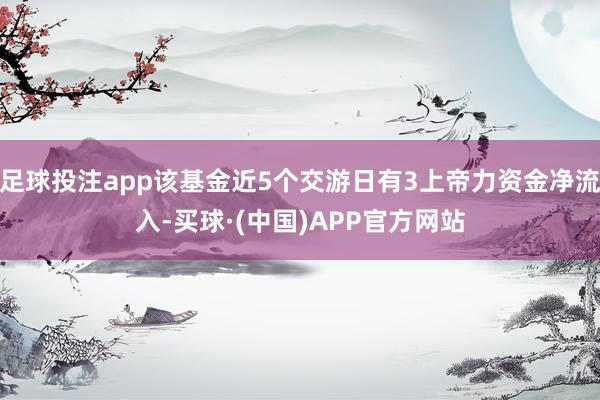 足球投注app该基金近5个交游日有3上帝力资金净流入-买球·(中国)APP官方网站