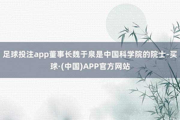 足球投注app董事长魏于泉是中国科学院的院士-买球·(中国)APP官方网站