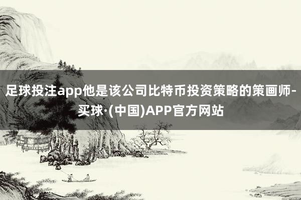 足球投注app他是该公司比特币投资策略的策画师-买球·(中国)APP官方网站