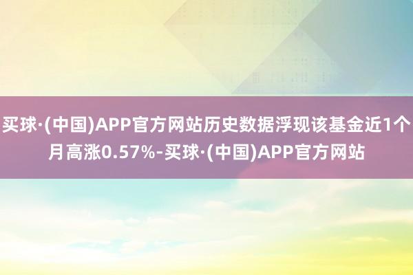 买球·(中国)APP官方网站历史数据浮现该基金近1个月高涨0.57%-买球·(中国)APP官方网站