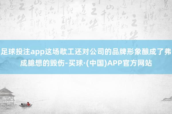 足球投注app这场歇工还对公司的品牌形象酿成了弗成臆想的毁伤-买球·(中国)APP官方网站