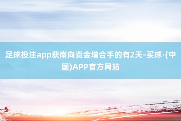 足球投注app获南向资金增合手的有2天-买球·(中国)APP官方网站