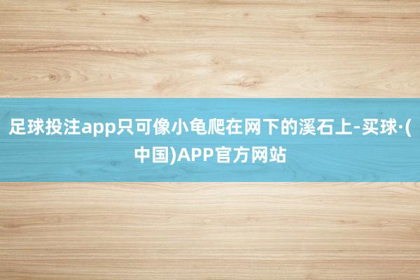 足球投注app只可像小龟爬在网下的溪石上-买球·(中国)APP官方网站