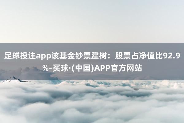 足球投注app该基金钞票建树：股票占净值比92.9%-买球·(中国)APP官方网站