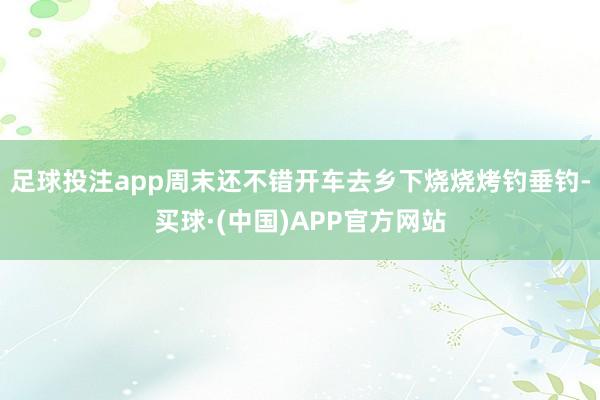 足球投注app周末还不错开车去乡下烧烧烤钓垂钓-买球·(中国)APP官方网站