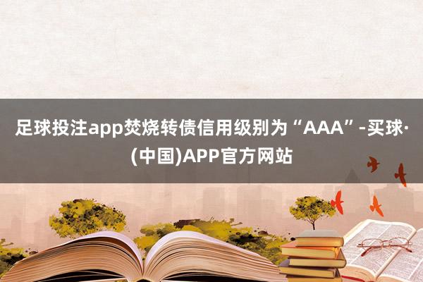 足球投注app焚烧转债信用级别为“AAA”-买球·(中国)APP官方网站