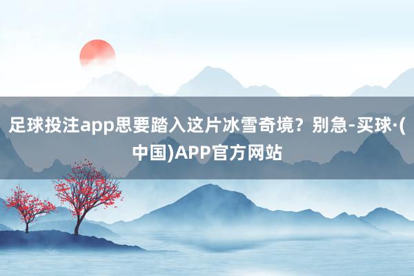 足球投注app思要踏入这片冰雪奇境？别急-买球·(中国)APP官方网站