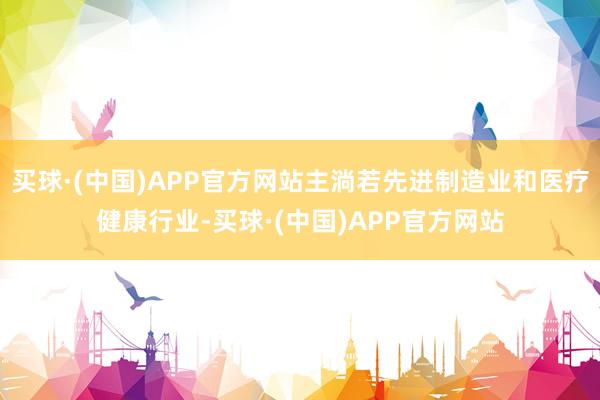 买球·(中国)APP官方网站主淌若先进制造业和医疗健康行业-买球·(中国)APP官方网站