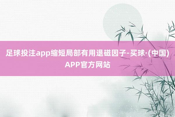 足球投注app缩短局部有用退磁因子-买球·(中国)APP官方网站