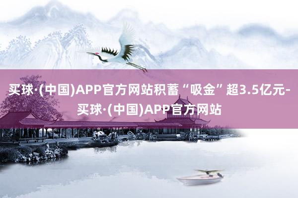 买球·(中国)APP官方网站积蓄“吸金”超3.5亿元-买球·(中国)APP官方网站